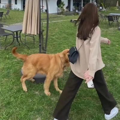 杜桑·卢维杜尔海报