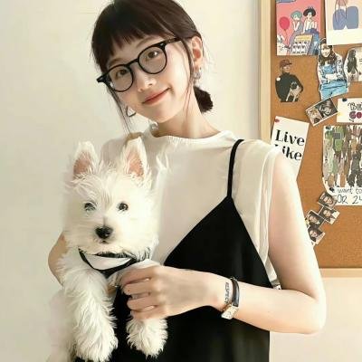 挑战粤语海报