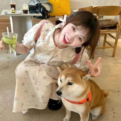 毒舌上司校花妹海报