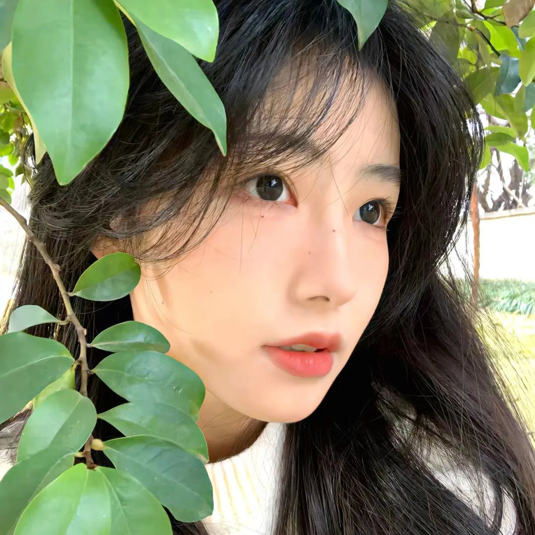 香笺泪海报